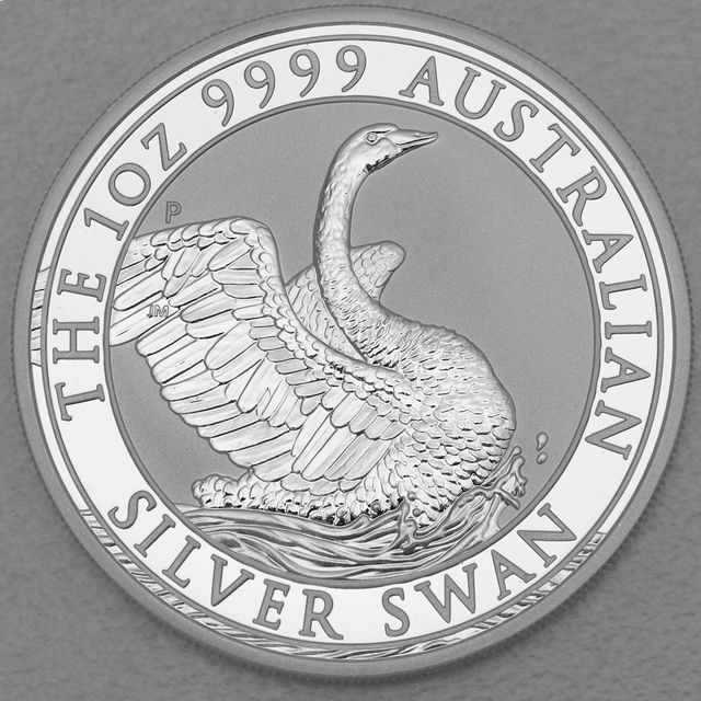 Australian Silver Swan 2020