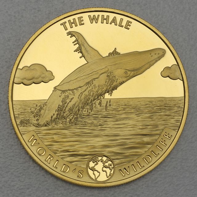 Goldmünze 1oz World Wildlife Kongo 2020 - Whale/Wal