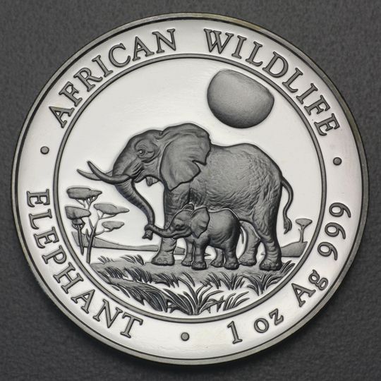 Somalia Elefant Silbermünze 2011