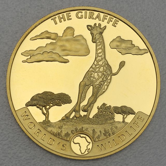 Goldmünze 1oz World Wildlife Kongo 2019 - Giraffe