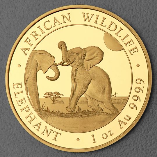 Goldmünze Somalia Elefant 2024