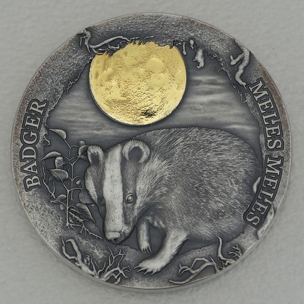 Silbermünze 1/2oz Ghana 2021 2 Cedis "Wildlife in the Moonlight" - Dachs