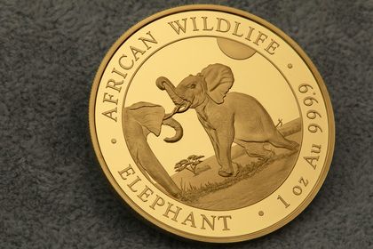 African Wildlife - Somalia Elefant, 1oz Goldmünze 2024
