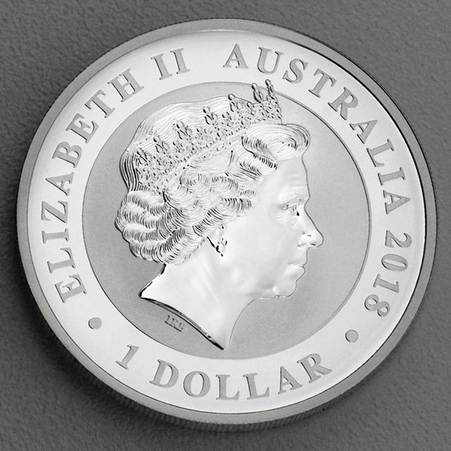 Australian Silver Swan 2018 Kopfseite