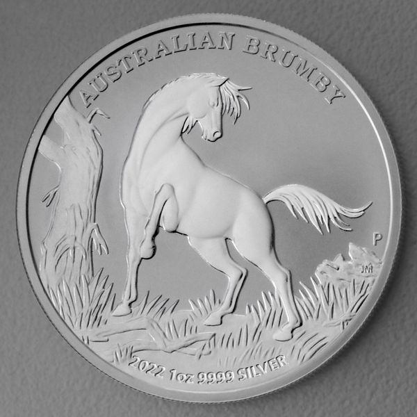Silbermünze 1oz Australian Brumby 2022