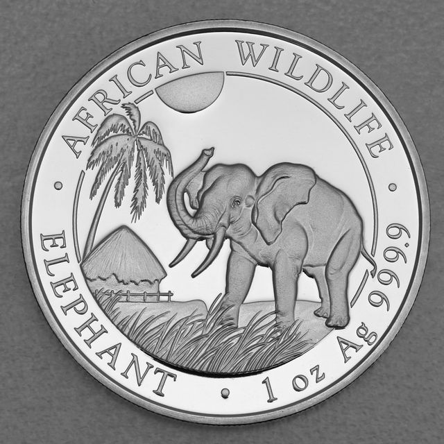 Silbermünze Somalia Elefant African Wildlife 2017
