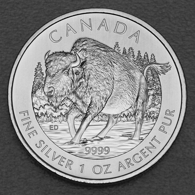 Silbermünze 1oz Canadian Wildlife 2013 Bison