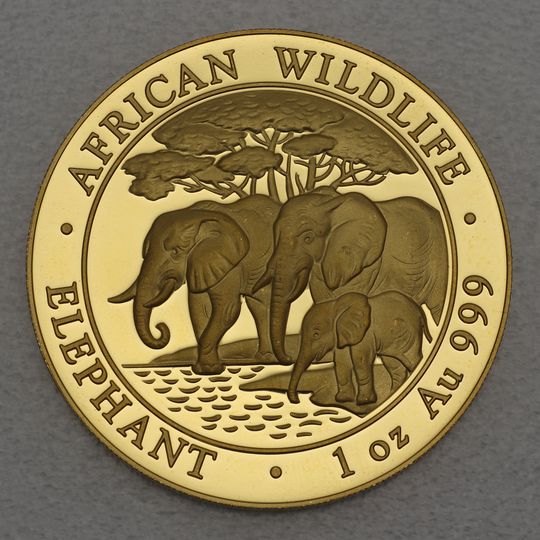 Goldmünze Somalia Elefant 2013