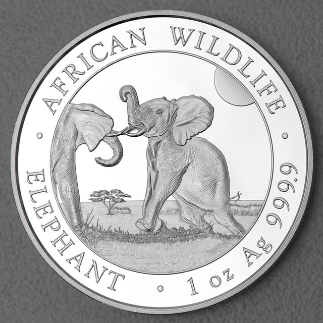 Silbermünze Somalia Elefant African Wildlife 2024