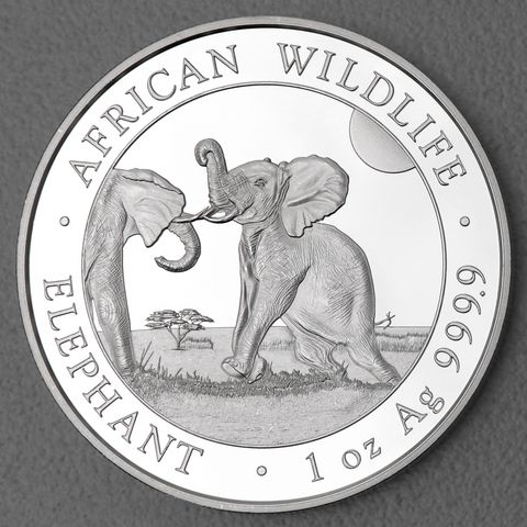 Silbermünze Somalia Elefant African Wildlife 2024