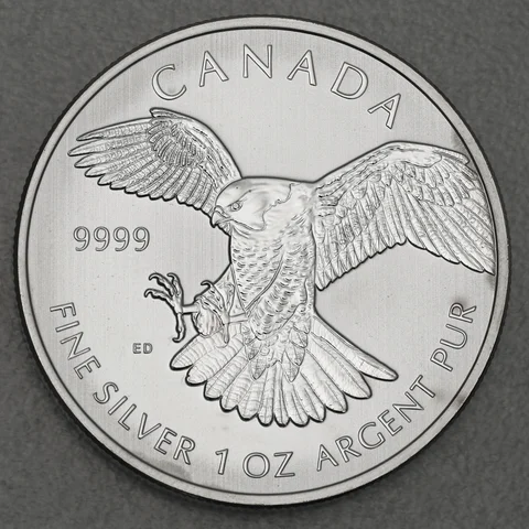 Silbermünze 1oz Birds of Prey 2014 Peregrine Falcon