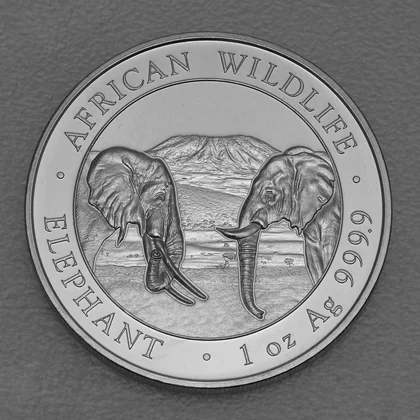 1oz Silbermünze Somalia Elefant 2020