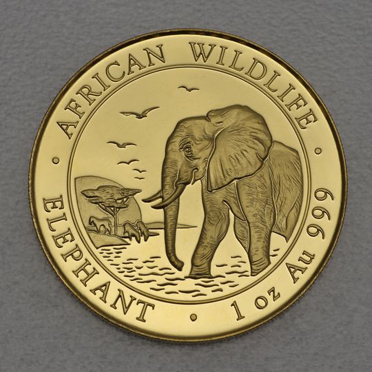 Goldmünze Somalia Elefant 2010