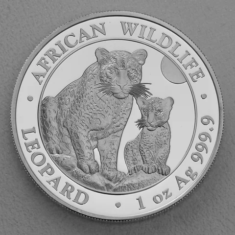 Silbermünze 1oz Somalia Leopard 2024