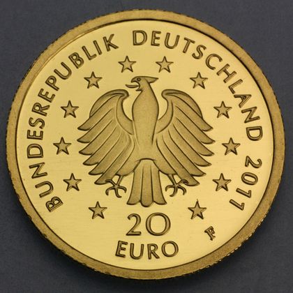 Kehrseite der 20 Euro Goldmünze "Buche" 2011 der Serie "Deutscher Wald"