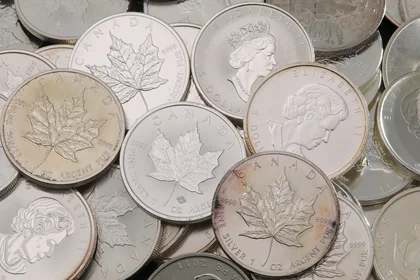 Maple Leaf Silbermünzen mit Gebrauchsspuren