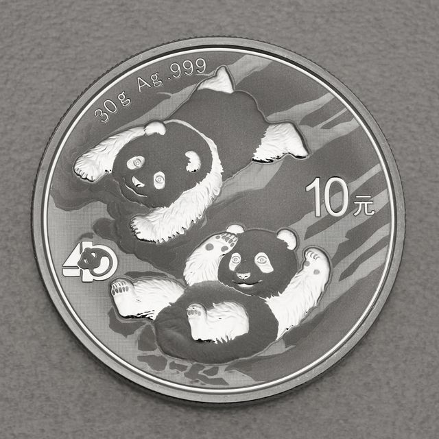 China Panda Silbermünze 2022