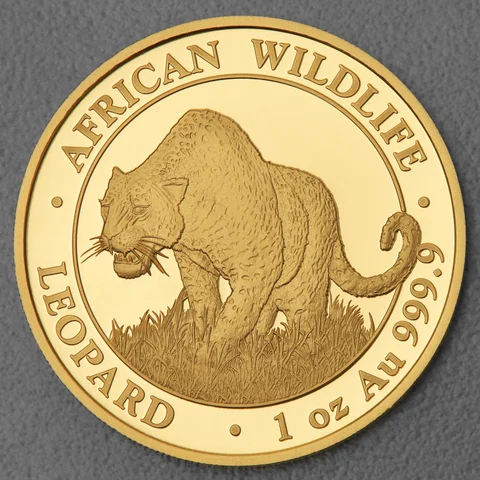 Goldmünze 1oz Somalia Leopard 2023