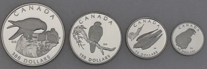 Platinmünzen Canada Wildlife Serie 1996 Peregrine Falcon / Wanderfalke 1oz, 1/2oz, 1/4oz, 1/10oz