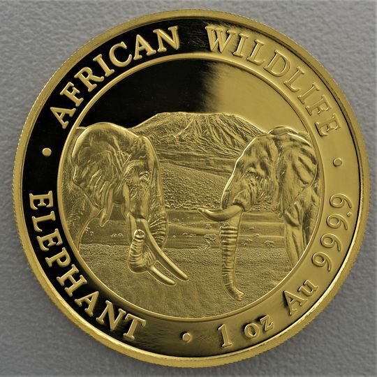 Goldmünze Somalia Elefant 2020