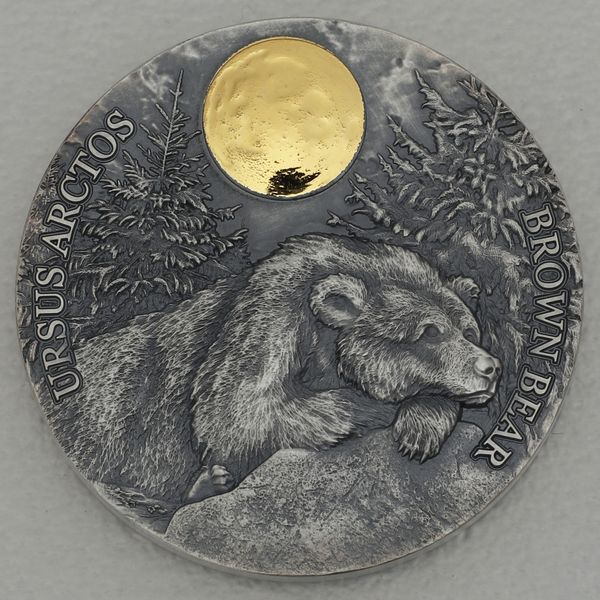 Silbermünze 1/2oz Ghana 2021 2 Cedis "Wildlife in the Moonlight" - Braunbär