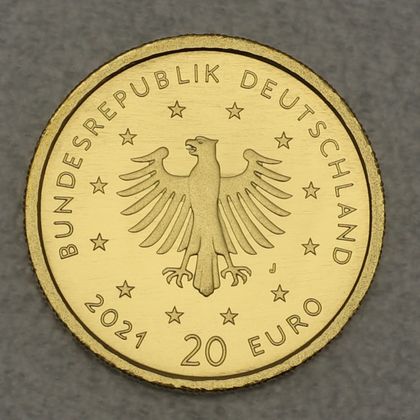 Kehrseite der 20 Euro Goldmünze "Schwarzspecht" 2021 der Serie "Heimische Vögel"