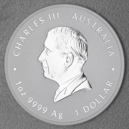 Lunar III, 1oz Silbermünze, Schlange, 2025