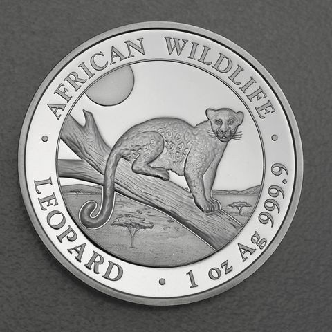Silbermünze 1oz Somalia Leopard 2021