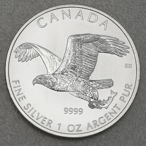 Silbermünze 1oz Birds of Prey 2014 Bald Eagle