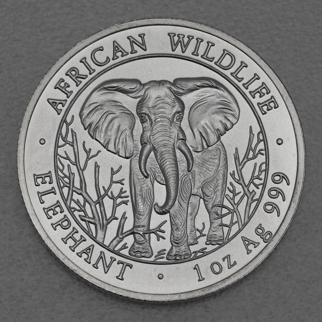 Silbermünze Somalia Elefant African Wildlife 2004
