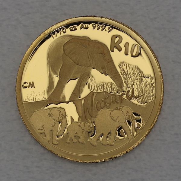 Goldmünze Südafrika Natura Serie Giants of Africa 2008 1/10oz Elefant