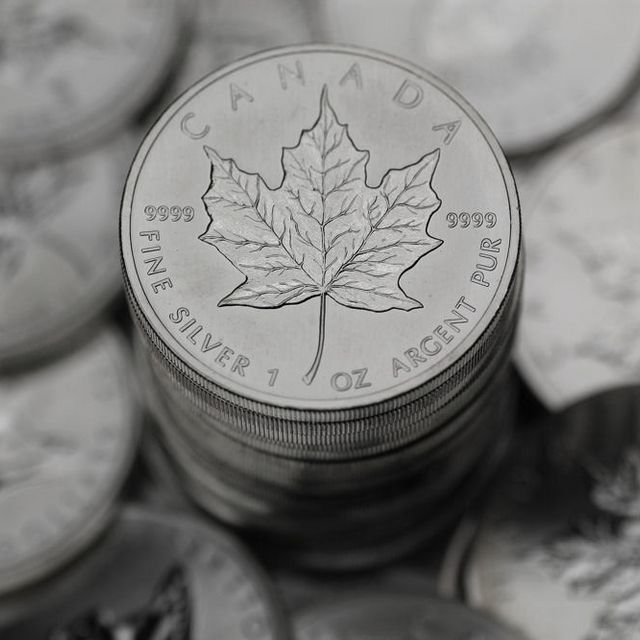 Maple Leaf Münzen Silber