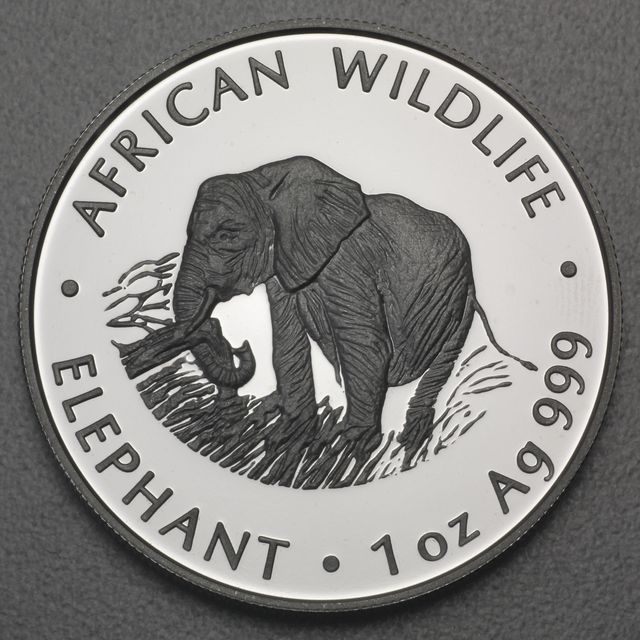 Silbermünze 1oz Sambia Elefant 2000