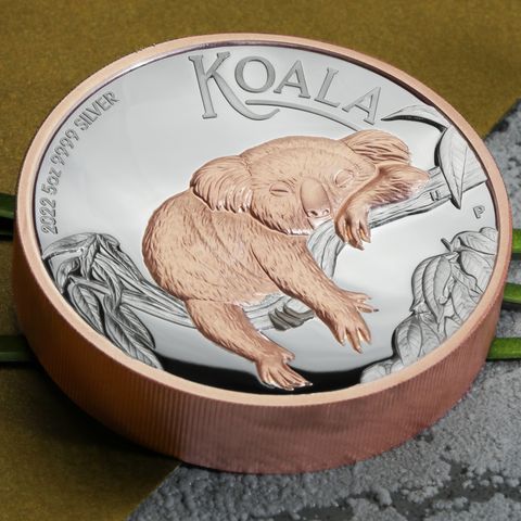 Rosévergoldete Silbermünze Australian Koala (PP und HR)