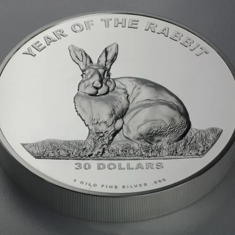 2010 Jear of the Rabbig