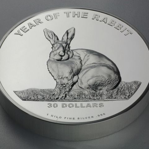2010 Jear of the Rabbig