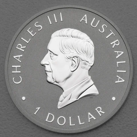 Australian Silver Swan 2024