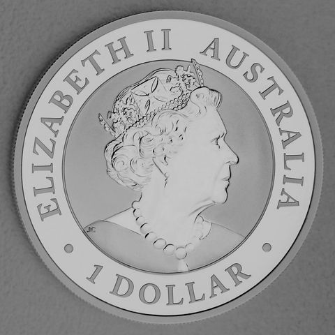 Silbermünze 1oz Australian Brumby Rückseite