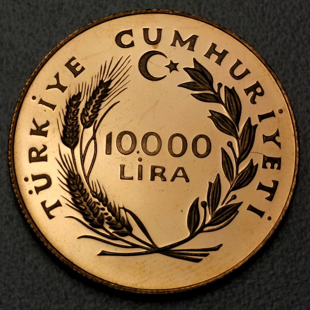 Lohnt Sich Jetzt Türkische Lira Zu Kaufen Türkische Lira Goldmünzen Ankaufswert / Infos | ESG