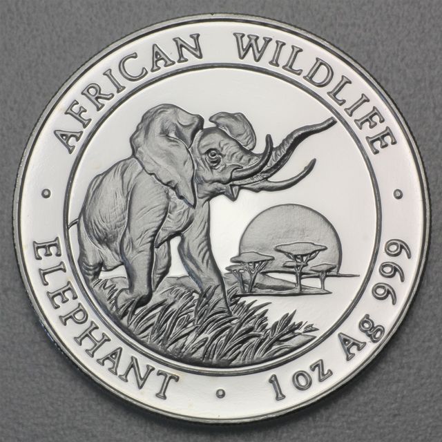 Silbermünze Somalia Elefant African Wildlife 2009
