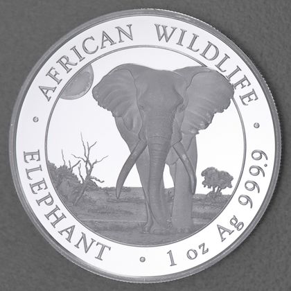1oz Silbermünze Somalia Elefant 2025
