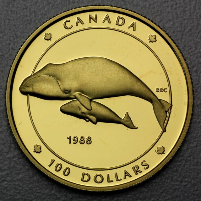 100 Dollar Goldmünze Kanada 1988 aus 58,3% Gold