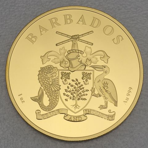 Goldmünze 1oz Barbados Flamingo 2022