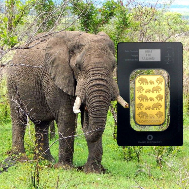 1oz Elefanten-Goldbarren aus Südafrika