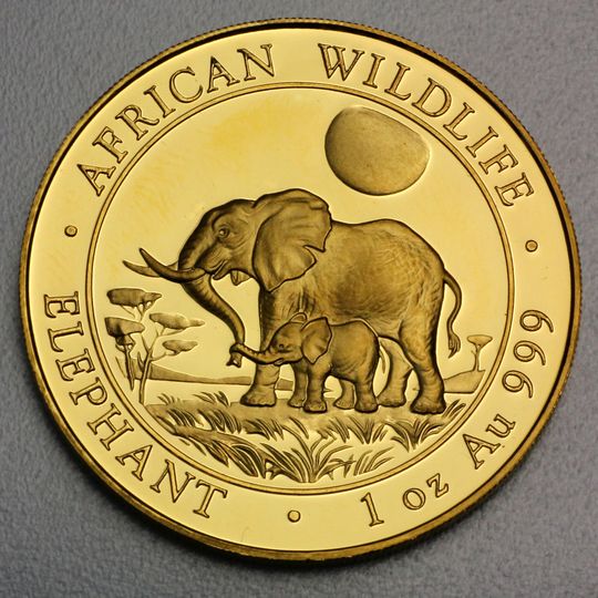 Goldmünze Somalia Elefant 2011