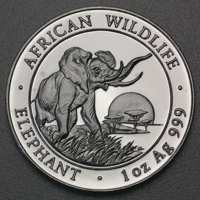 African Wildlife Somalia Silbermünze 2009
