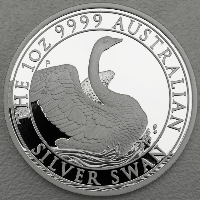 Australian Silver Swan 2020 PP Kopfseite
