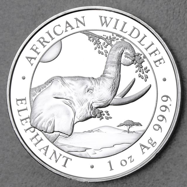Silbermünze Somalia Elefant African Wildlife 2023