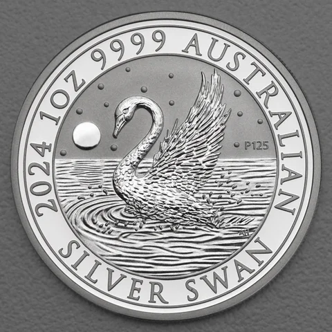 Australian Silver Swan 2024
