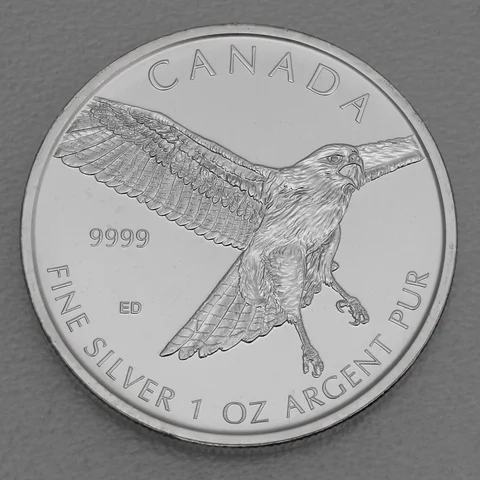 Silbermünze 1oz Birds of Prey 2015 Red-Tailed Hawk